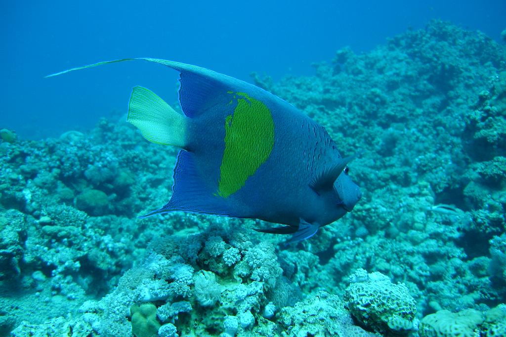 2008-11-05 10-12-51.JPG